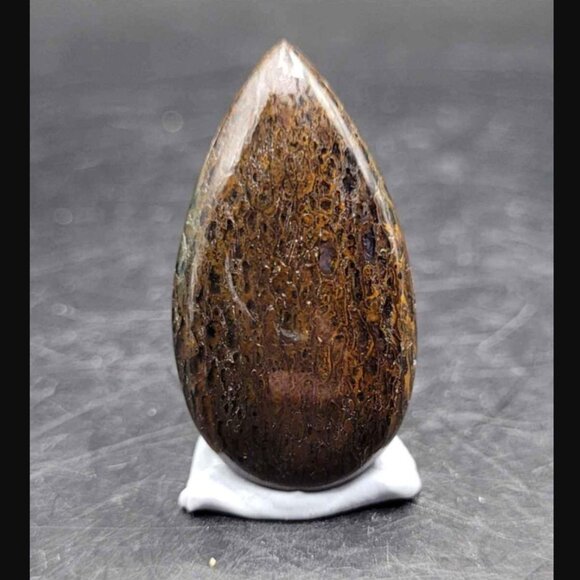 HUGE DEAL Utah Gembone (Dino Bone) Cab Lot of 3- 50.5CTS - Picture 5 of 11